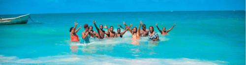 KAKASAIDY WASINI DOLPHIN TOURS