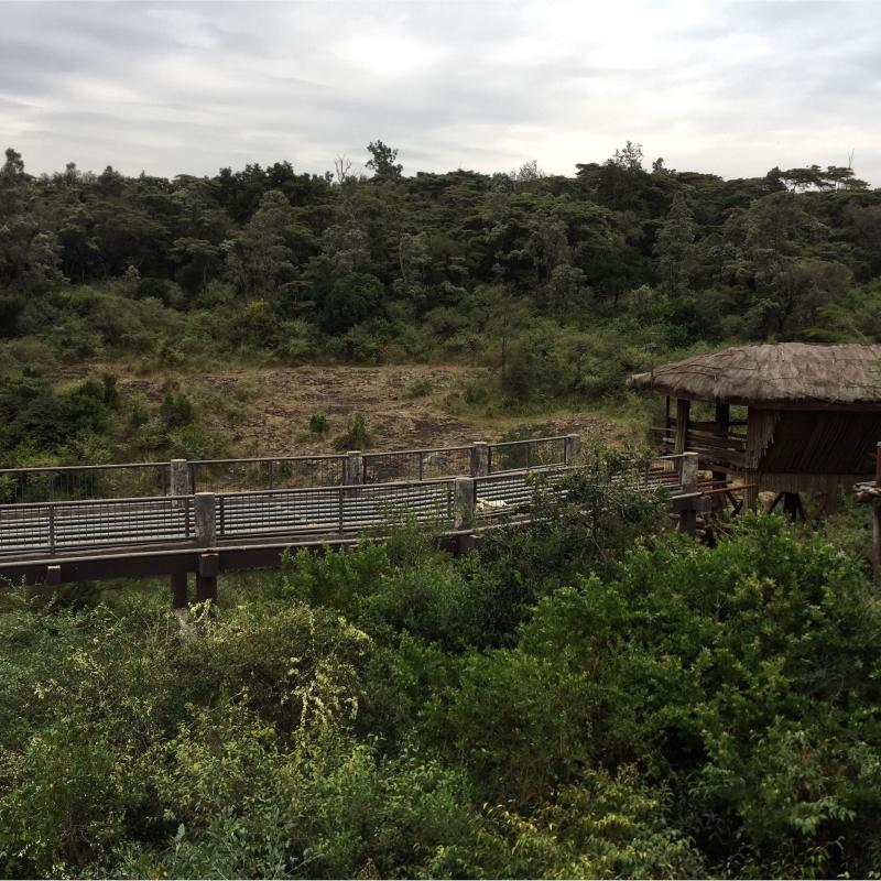 Nairobi Safari Walk