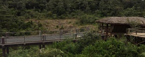 Nairobi Safari Walk