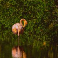 Lake Nakuru National Park