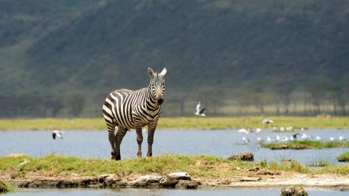 Lake Nakuru National Park